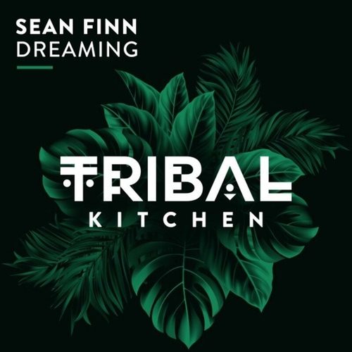 Sean Finn - Dreaming [TK238]